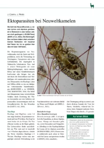 Ektoparasiten bei Neuweltkamelen
