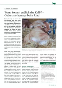 Wann kommt endlich das Kalb? – Geburtsvorhersage beim Rind