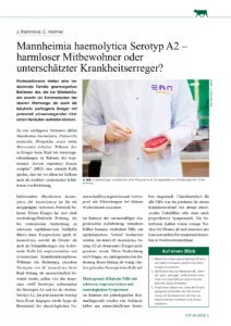 Mannheimia haemolytica Serotyp A2 – harmloser Mitbewohner oder unterschätzter Krankheitserreger?