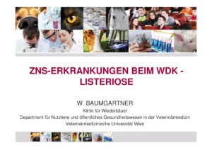 Vortrag: ZNS Erkrankungen beim WDK – Listeriose