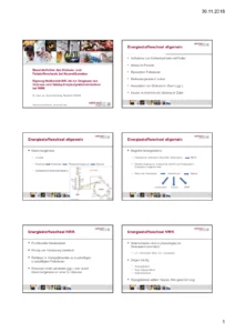 Vortrag: Gluccose- und Fettstoffwechsel bei Neuweltkamelen