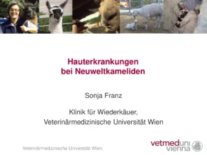 Vortrag: Hauterkrankungen bei Neuweltkameliden