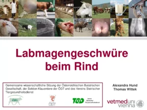 Vortrag: Labmagengeschwüre beim Rind