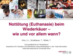 Vortrag: Nottötung (Euthanasie) beim Wiederkäuer