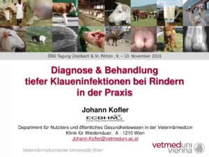 Vortrag: Behandlung tiefer Klaueninfektionen