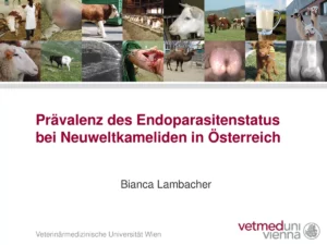 Vortrag: Endoparasitenstatus bei Neuweltkameliden in Österreich