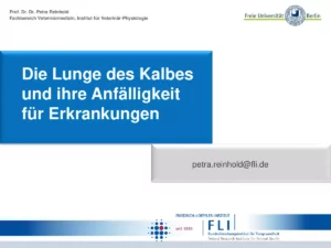 Vortrag: Lunge des Kalbes