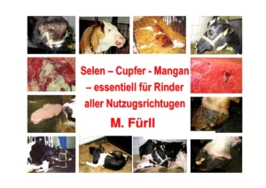 Vortrag: Selen, Kupfer, Mangan