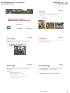 Vortrag: Bauchschmerzen beim Kalb