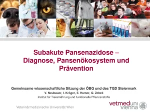 Vortrag: Subakute Pansenazidose