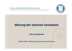 Vortrag: Störung der uterinen Involution