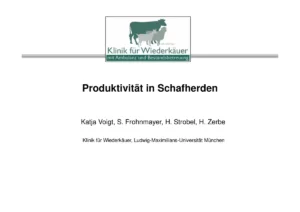 Vortrag: Produktivität in Schafherden