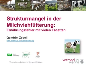 Vortrag: Strukturmangel in der Milchviehfütterung