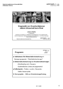 Diagnostik von Knochenläsionen mittels Ultraschall beim Rind