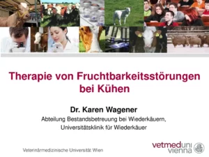 Vortrag: Therapie von Fruchtbarkeitssörungen bei Kühen