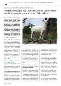 Pharmakotherapie bei Krankheiten und Verletzungen des Bewegungsapparates kleiner Wiederkäuer